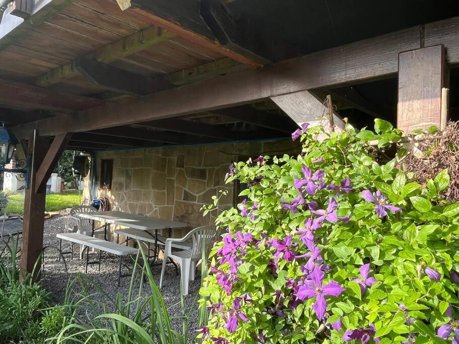 Studio Renove Rdc Terrasse Wepion Namur Bagian luar foto